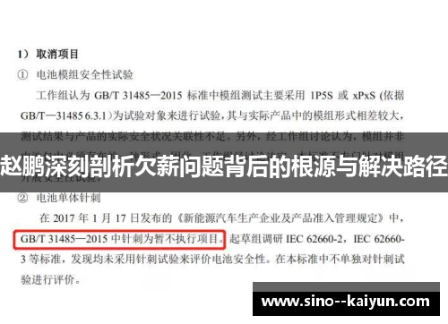赵鹏深刻剖析欠薪问题背后的根源与解决路径